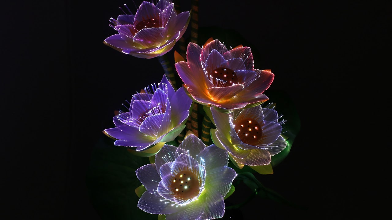 グランドルミナス ラージ蓮の花 のLED移り変わりの様子を再生する