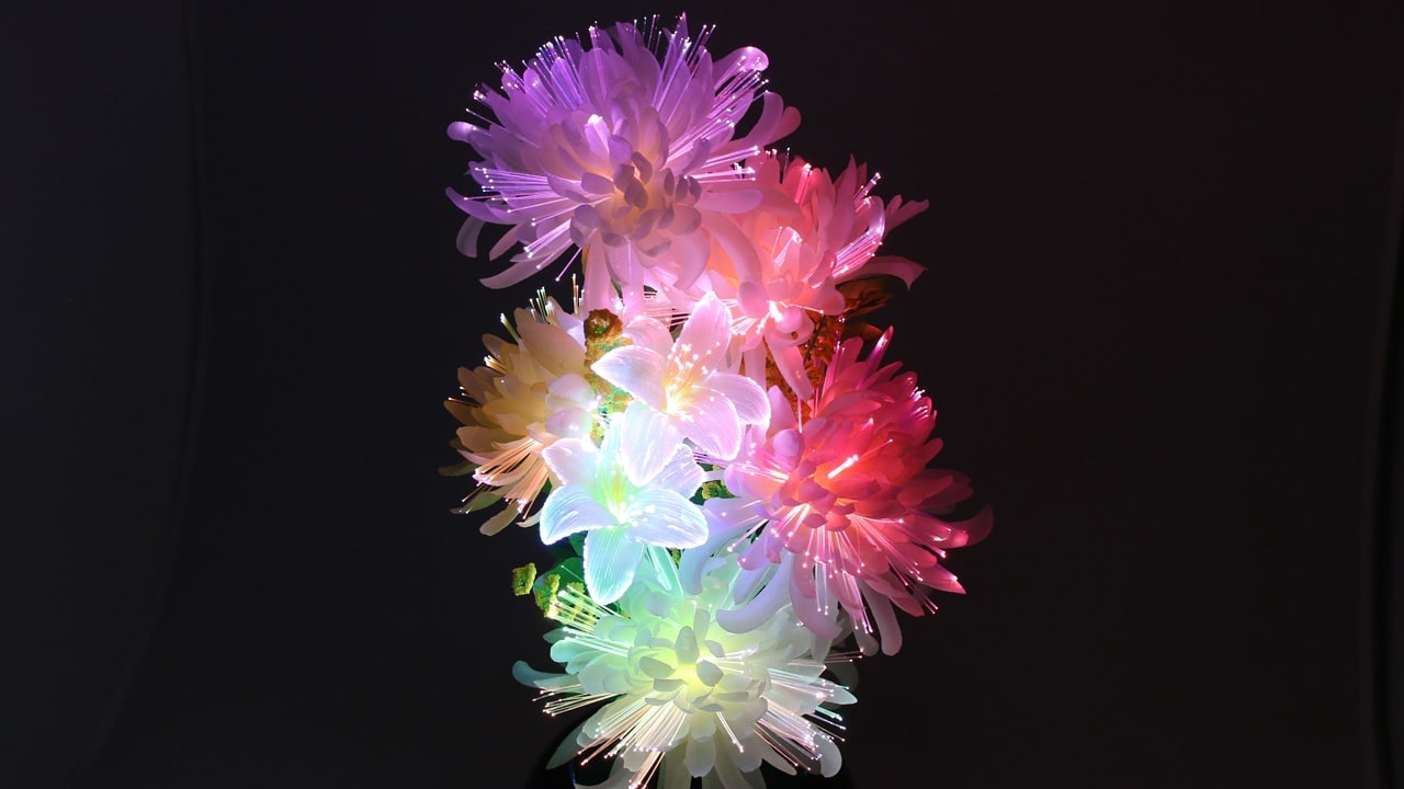 グランドルミナス いろどり菊 のLED移り変わりの様子を再生する