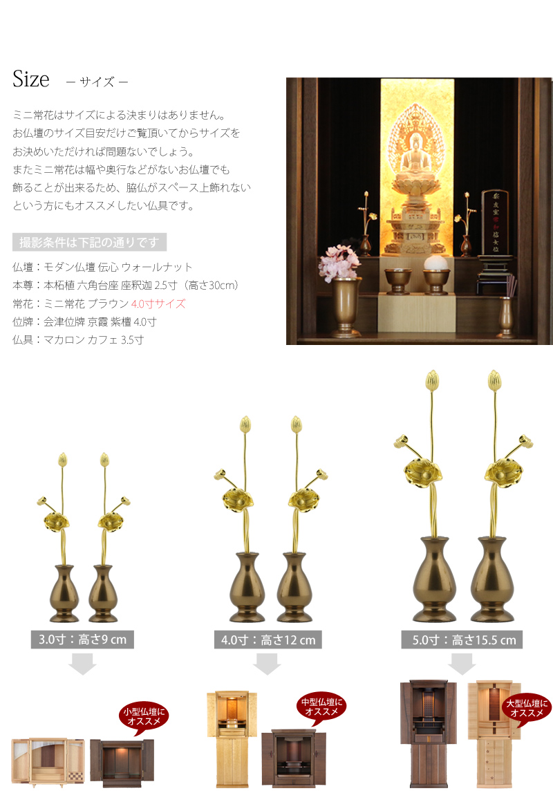 ミニ常花 ブラウン 一対のサイズ画像