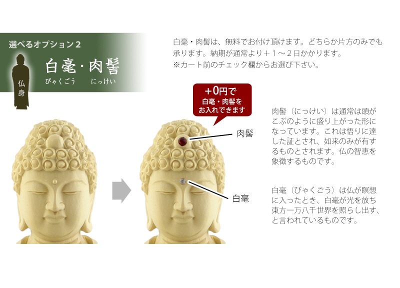 本柘植仏像 八角台座 東立弥陀 【浄土真宗東】のオプションについて②