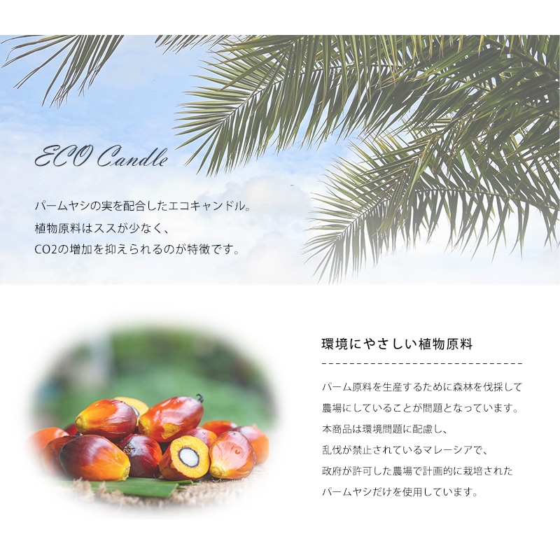 アロマティカルティーライトはパームヤシの実を配合したエコキャンドルです。