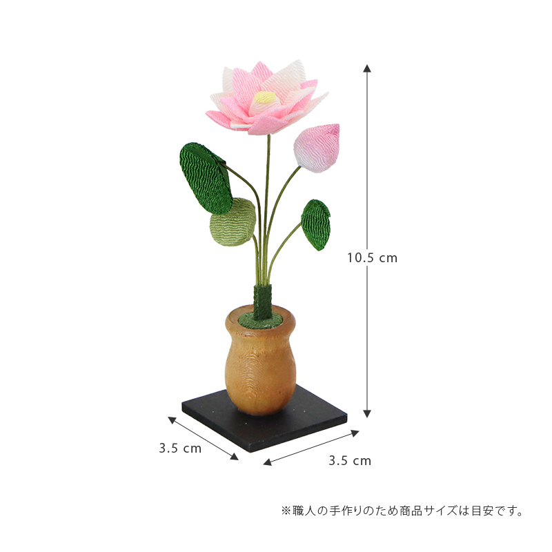 サイズについて