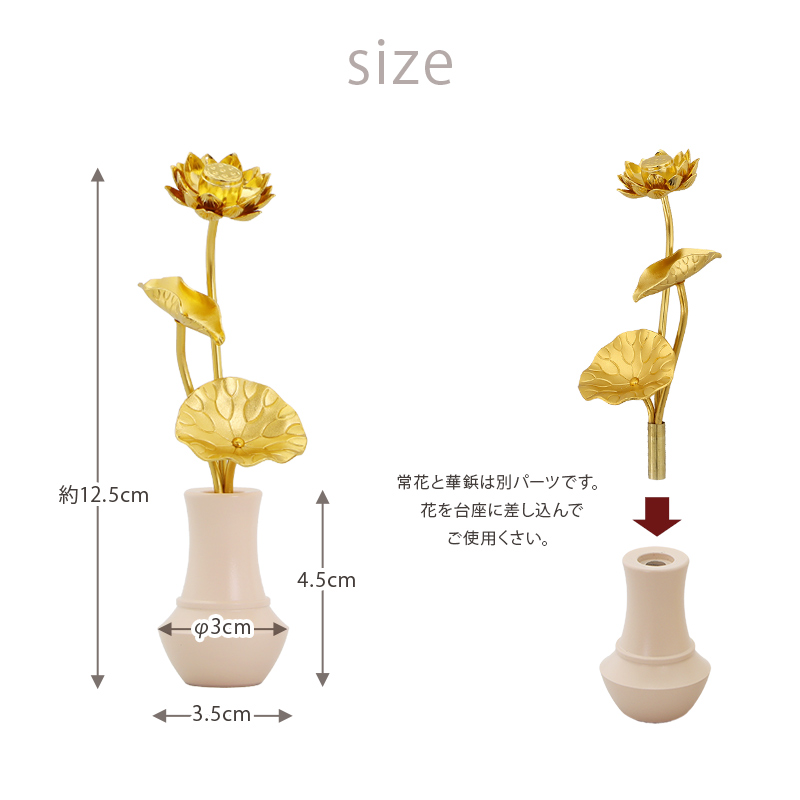サイズについて
