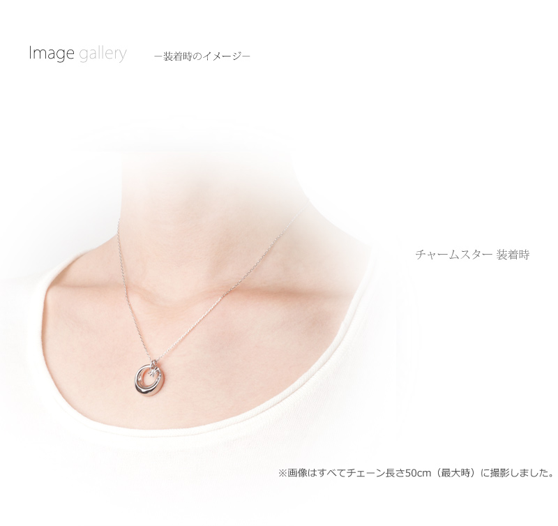 遺骨ペンダント チャームの商品画像4枚目