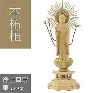 本柘植仏像 八角台座 東型阿弥陀 【浄土真宗東大谷派】の通販メイン画像